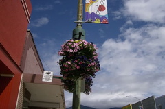 Flowers Downtown