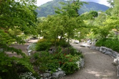 Japanese Gardens