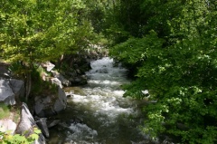 Cottonwood Creek