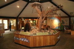 Inside Wildlife Interpretive Centre