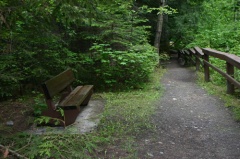 Sitting Bench