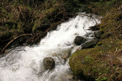 Glacier Run Off