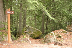 Trail Sign