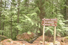 Road Sign
