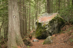 Hiking Trail