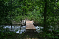 Boardwalk Bridge