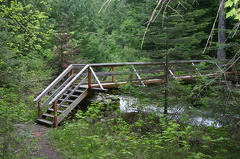 Foot Bridge