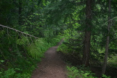 Dirt Hiking Trail