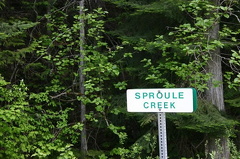 Creek Sign