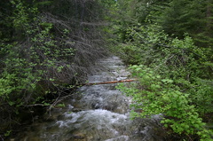 Wilderness Creek