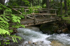 Bridge