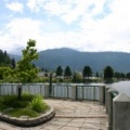 Viewpoint