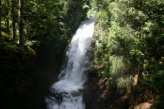 Fletcher Falls