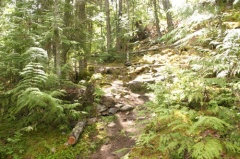 Hiking Trail