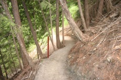 Hiking Trail