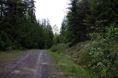 Wagon Road