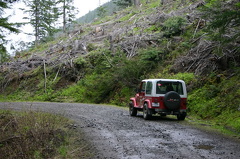 Researching Kokanee Glacier Park