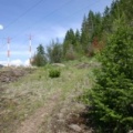 Power Lines