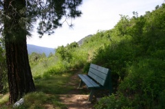 Viewing Bench