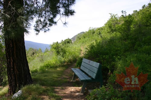 viewing-bench.jpg