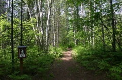 Trailhead