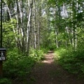 Trailhead