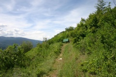 Hiking to Viewing Bench