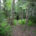 Hiking Trail