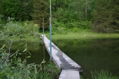 Boardwalk Trail near Beaver Pond