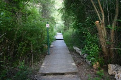 Hiking Trail