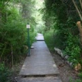 Hiking Trail