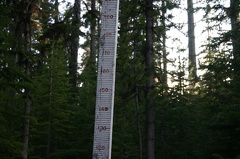Snow Measurement Ruler