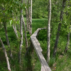 Bike Park