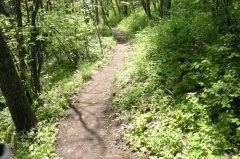 Downhill