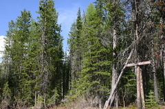 Trailhead
