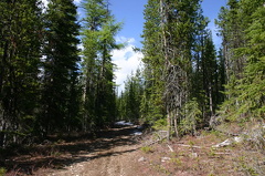 Alpine Trail