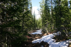 Hiking in the Snow