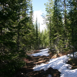 Christina Crest Trail