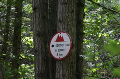 1st Summit Sign