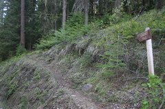 Hiking Trail