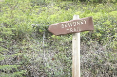 Directional Sign