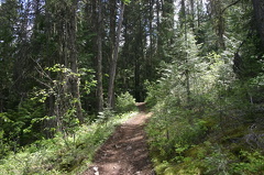Hiking Trail