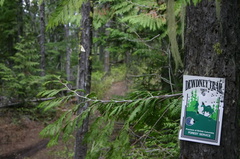 Trail Sign