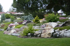 Rock Garden