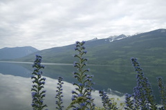 Upper Arrow Lake