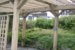 Spicer's Gardens