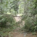 Hiking Trail
