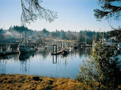 Ucluelet Harbor