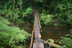 Log Bridge