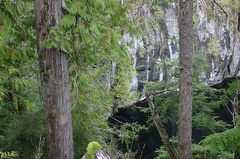 Devils Path